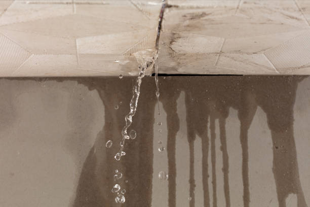 Professional Burst Pipe Cleanup technician working in Pendergrass, GA